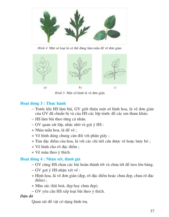 Bài 9: Vẽ trang trí Vẽ đơn giản hoa, lá